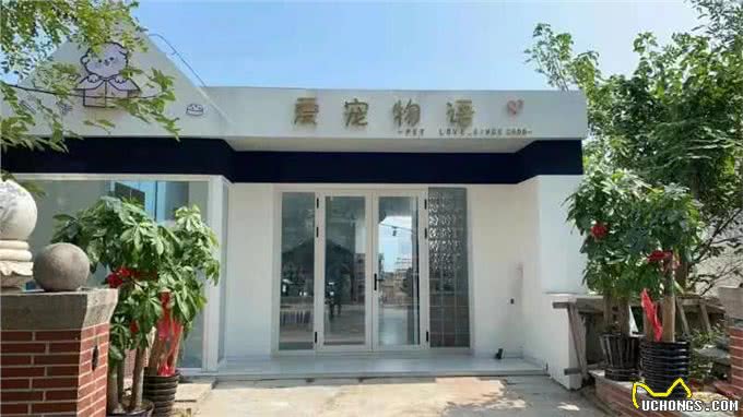 狗狗的精致生活