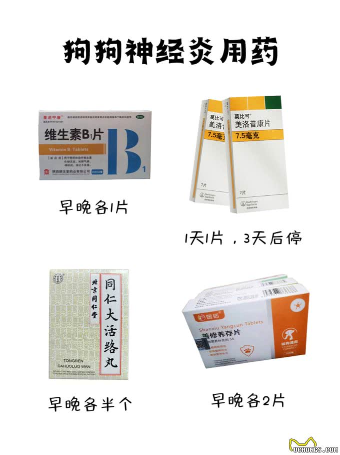 养狗狗家庭都得备上这两种药(癫痫、狗瘟)