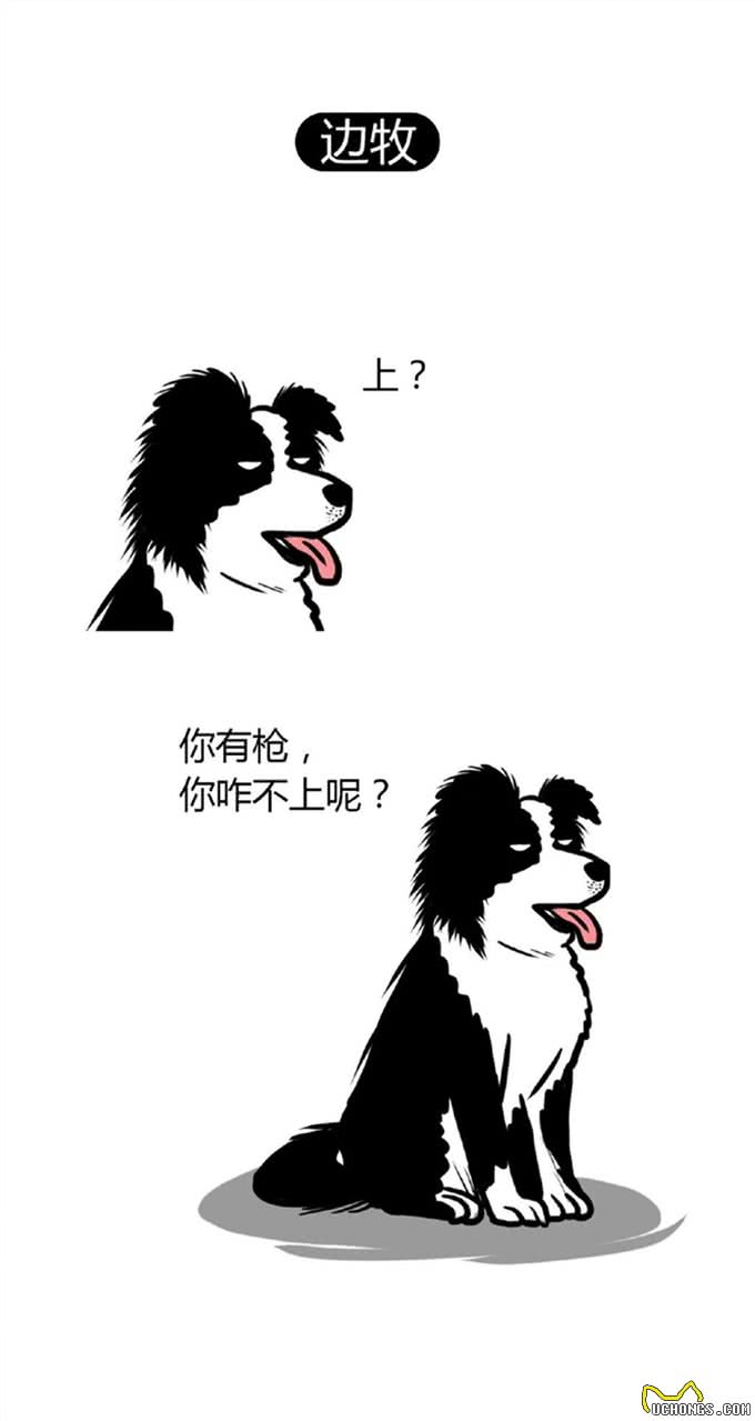 狗狗界的偏科生：聪明凶猛，却无法成为警犬的那些天才们