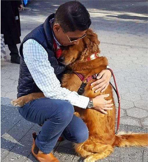 通人性的几种狗，养过以后你会说:真香