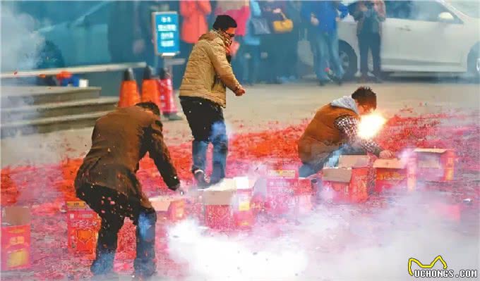狗害怕什么气味儿?它们不敢接近什么?