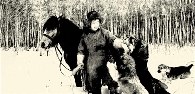 难忘的义犬蒙古獒
