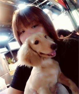 腊肠狗凌晨跳进浴缸翻滚跳跃主人一脸生无可恋
