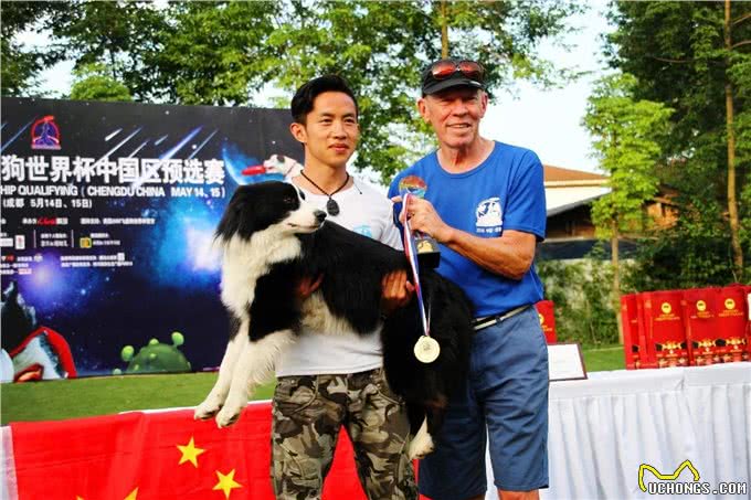 独家采访|飞盘狗大咖齐聚成都