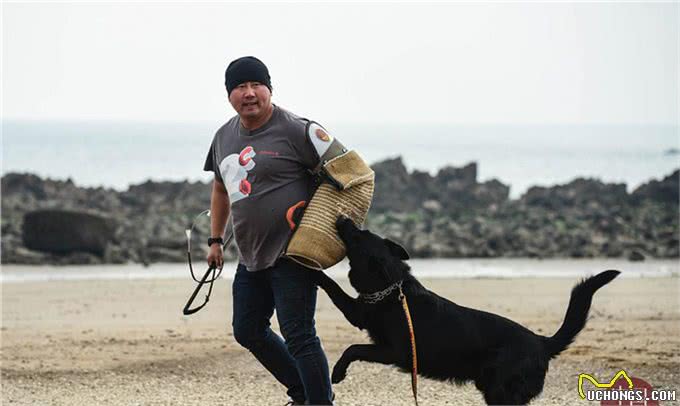 80后训犬师的海归搜救犬：居然听得懂德语