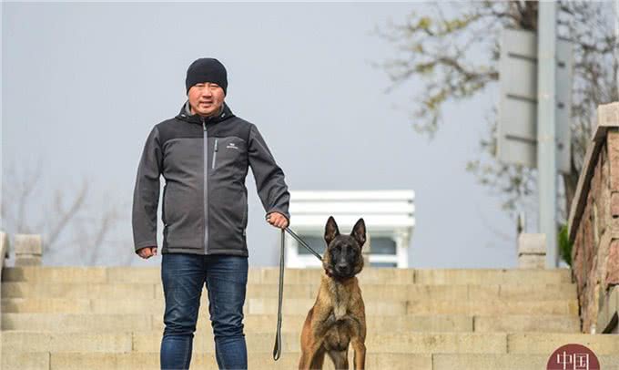 80后训犬师的海归搜救犬：居然听得懂德语