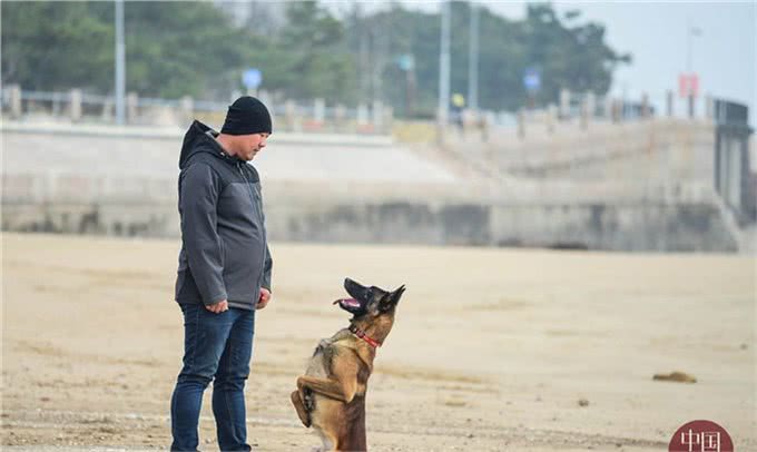 80后训犬师的海归搜救犬：居然听得懂德语