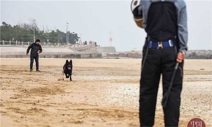 80后训犬师的海归搜救犬：居然听得懂德语