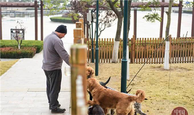 80后训犬师的海归搜救犬：居然听得懂德语