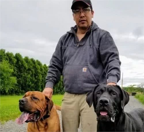 在亚洲唯有这4种犬，可与欧美猛犬抗衡，中国两犬名列其中