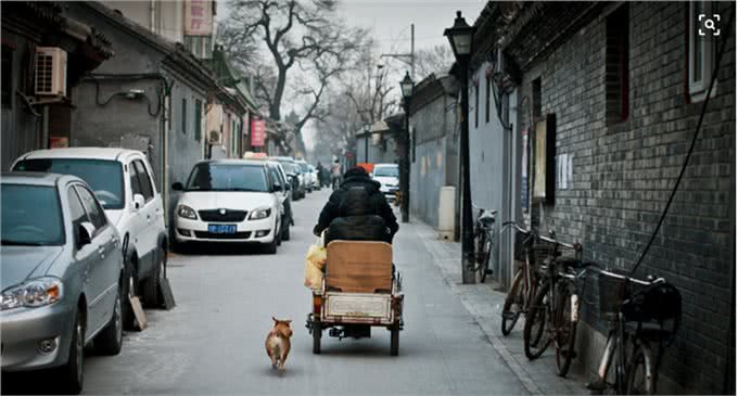 高速路上救下一只狗，没想到一月之后，狗狗领着主人前来报恩!