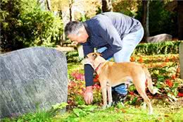 揭秘狗狗的世界:它们能否理解主人的死?