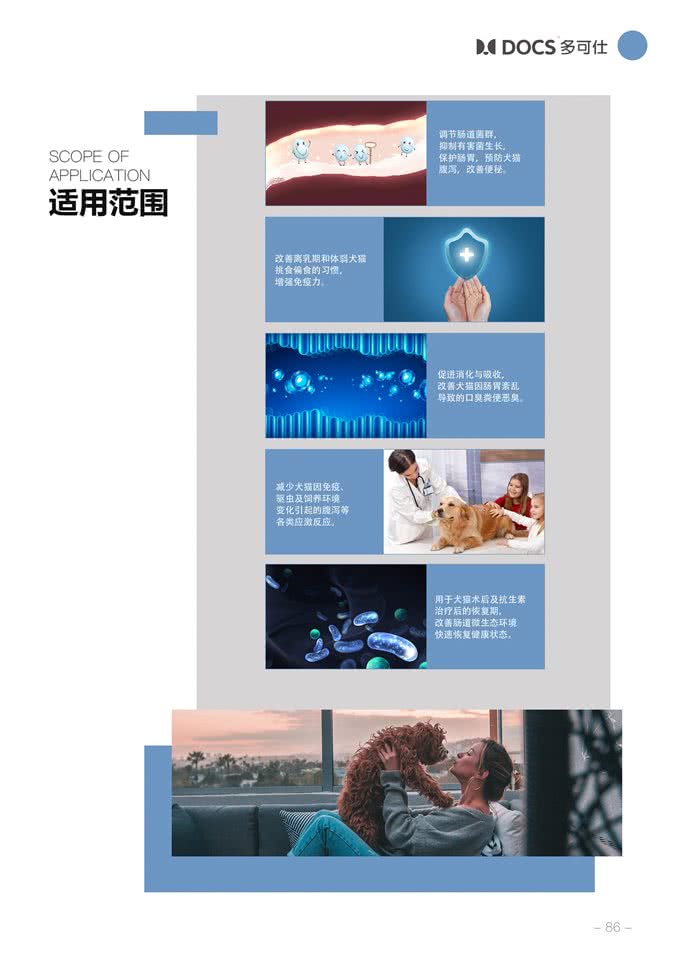 如何改善狗狗消化不良?