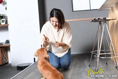 解密不行的奥秘：狗狗管教中的四大误区与正确策略