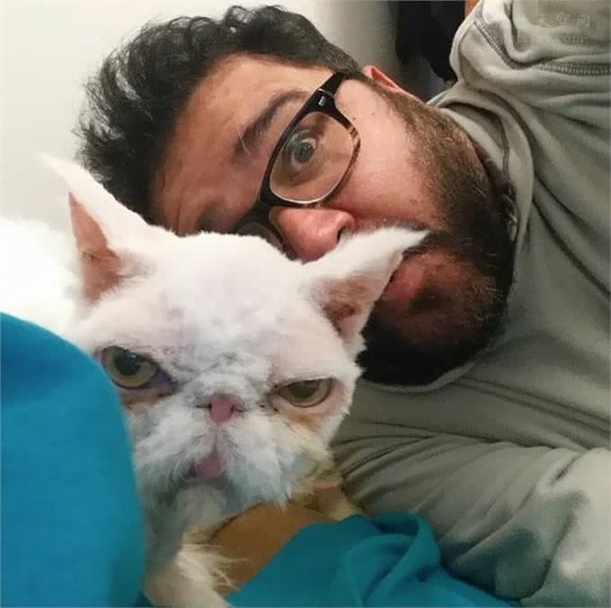 让人很心疼的波斯猫，浑身都是打结的毛发，还好遇到了好人