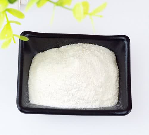 狗狗拉稀是不是要禁食