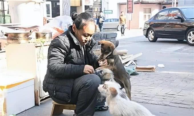西安老头自称能听懂狗的话，养了一群狗