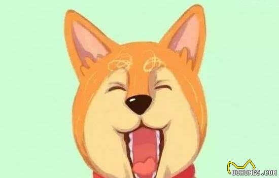 解析狗狗常用的肢体语言，让你分分钟成为狗语大神!