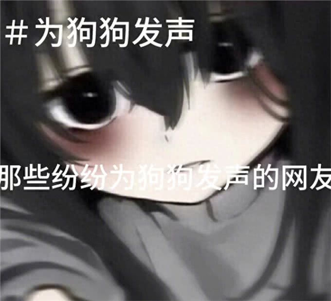 —为狗狗发声