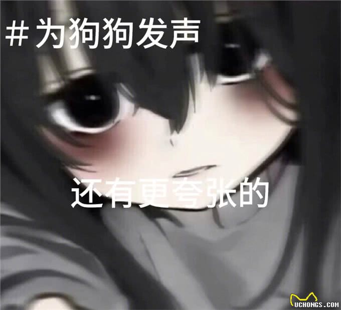 —为狗狗发声