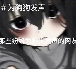 —为狗狗发声
