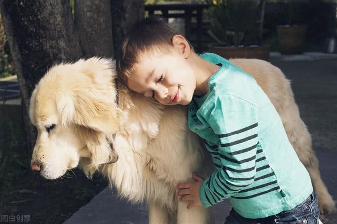 如果这七种狗狗任君选择，你会带谁回家?果断选第三种