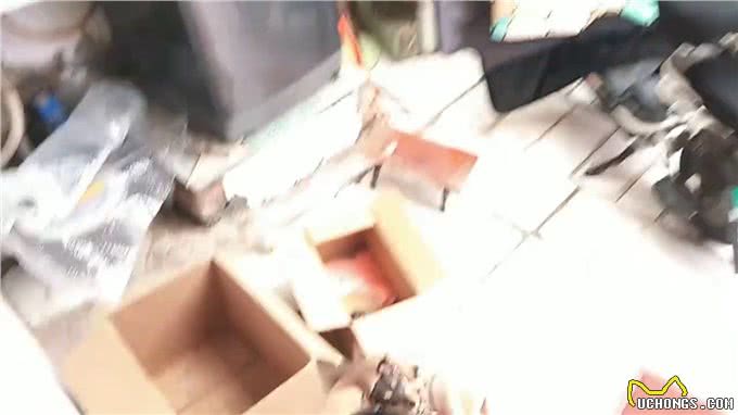 小猫干万不能失温啊—猫猫生病