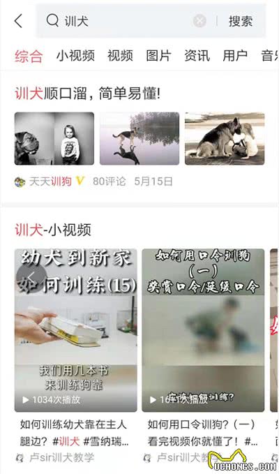 如果我们家狗狗害羞，敏感和具有攻击性，那么主人该如何训练它?