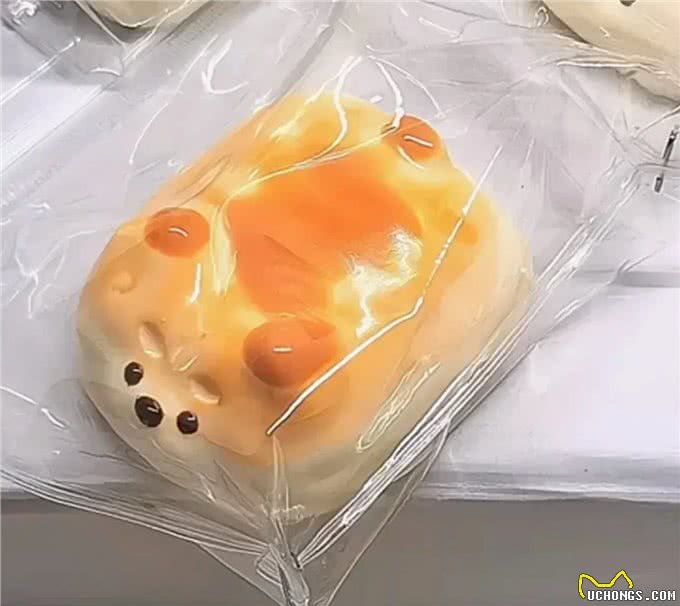 屋外狂风暴雨，屋里小狗臭屁!小狗偷偷放了个屁，闻着还挺上头