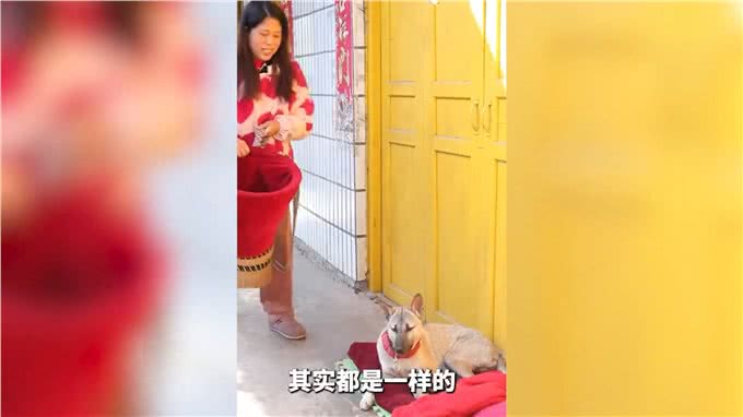 土狗生病命悬一线，主人不离不弃，跋山涉水为其救治!