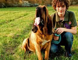 14天前的气味都可以追踪到?寻血猎犬堪称罪犯杀手!
