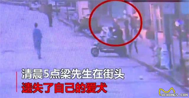 趁老人不注意保安偷走其爱犬交给陌生女子，事后称喝醉了不认识她
