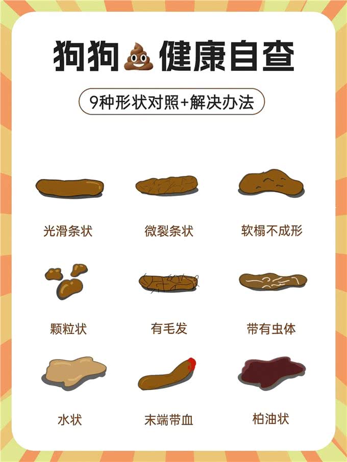 新手养狗必看:如何根据狗狗的粑粑判断其健康状况