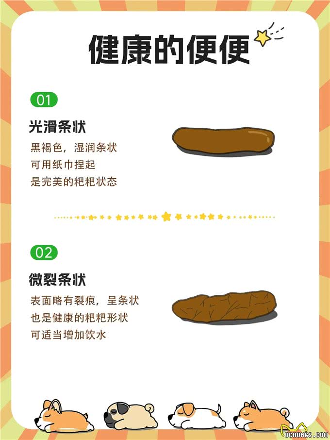 新手养狗必看:如何根据狗狗的粑粑判断其健康状况