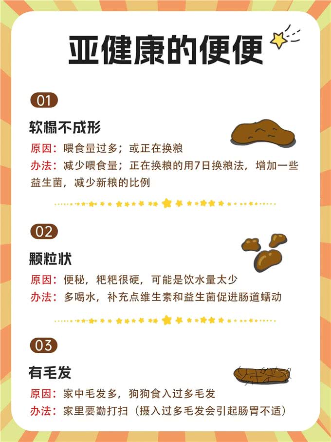 新手养狗必看:如何根据狗狗的粑粑判断其健康状况