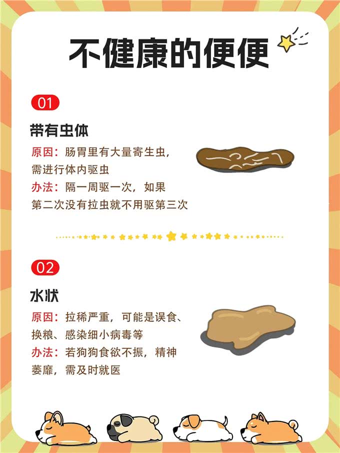 新手养狗必看:如何根据狗狗的粑粑判断其健康状况