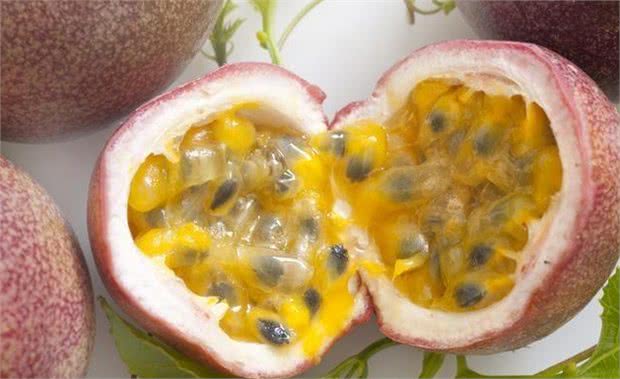 养比熊的须知：这6种食物，比熊是不能吃的