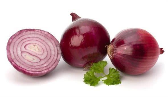 养比熊的须知：这6种食物，比熊是不能吃的