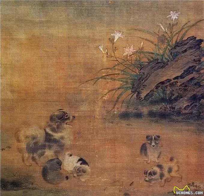 柴门闻犬吠，趣话古诗中的犬吠声