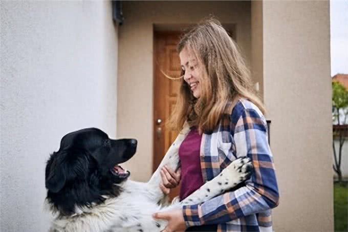 爱犬与主人重逢的喜悦:揭秘狗狗们背后的5大心理
