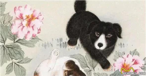 辰龙大运踩到了狗狗脚，恭喜你要发达了!天上真的掉馅饼了