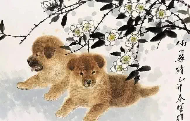 辰龙大运踩到了狗狗脚，恭喜你要发达了!天上真的掉馅饼了