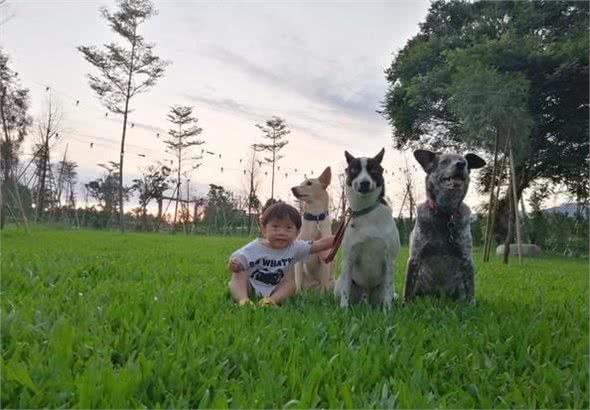 带狗狗出门遇红灯，妈妈喊指令让它们坐下，却发现多了一个小身影