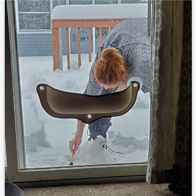 网友在外面堆了一只雪猫，猫咪一直在门口看着：没有毛，它不冷吗