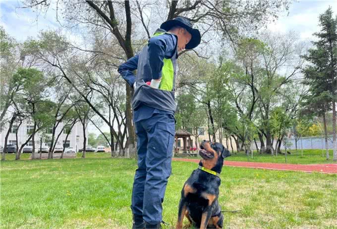 速来围观!又萌又酷，警犬的训练日常