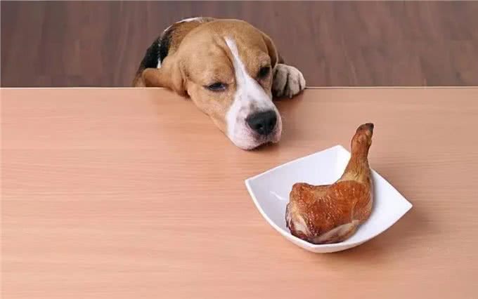 这几种食物，是狗狗最爱吃的人间美食，你还不知道?
