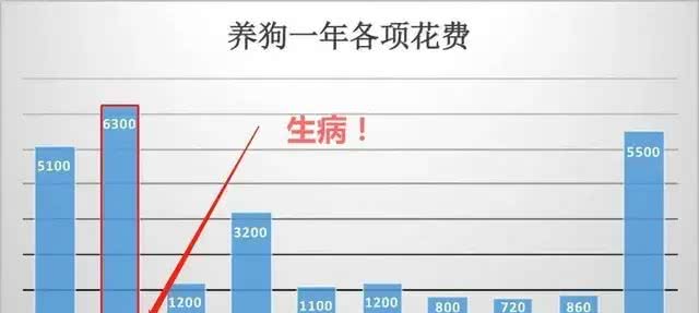 狗狗生病遭罪还花钱，做好这六点，让病魔远离它!