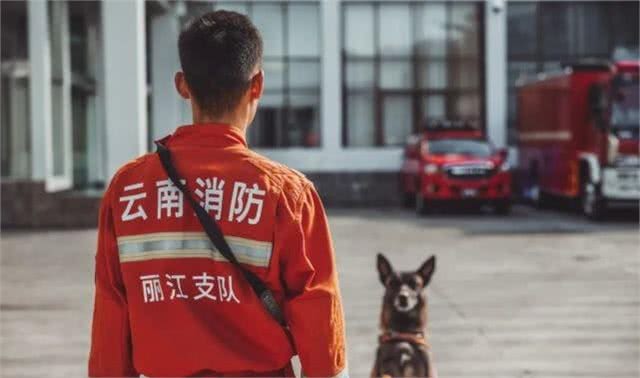 猛男+猛狗，丽江最帅组合!不服来辩