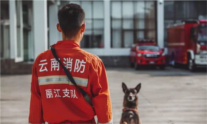 猛男+猛狗，丽江最帅组合!不服来辩