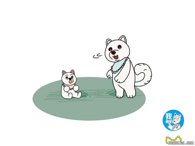 白色柴犬品种稀有，为何价格却很便宜，说好的物以稀为贵呢?